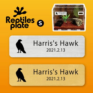 y BLACK FRIDAY P5{ z v^CY v[g STCY y nXz[N zP[W  v^C{bNX p  D l[v[g p_E eE ANAE ҋח