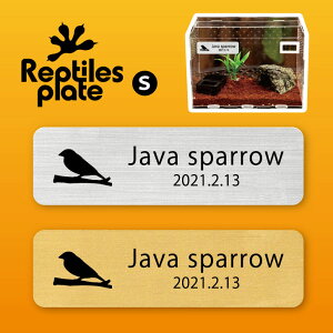 y BLACK FRIDAY P5{ z v^CY v[g STCY y  zP[W  v^C{bNX p  D l[v[g p_E eE ANAE 