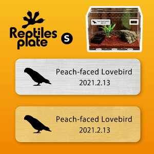 y BLACK FRIDAY P5{ z v^CY v[g STCY y RUNCR zP[W  v^C{bNX p  D l[v[g p_E eE ANAE 