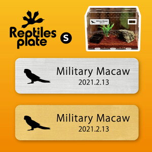 y BLACK FRIDAY P5{ z v^CY v[g STCY y ~hRSECR zP[W  v^C{bNX p  D l[v[g p_E eE ANAE