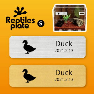 y BLACK FRIDAY P5{ z v^CY v[g STCY y Aq zP[W  v^C{bNX p  D l[v[g p_E eE ANAE 