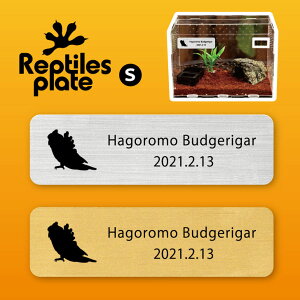 y BLACK FRIDAY P5{ z v^CY v[g STCY y nSZLZCCR zP[W  v^C{bNX p  D l[v[g p_E eE ANA