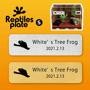 y X[p[SALEԒ P10{ z v^CY v[g STCY y CGAKG zP[W  v^C{bNX p  D l[v[g p_E eE ANA