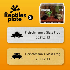 レプタイルズ プレート Sサイズ 【 フライシュマンマガエルモドキ 】ケージ 水槽 レプタイルボックス 虫かご用 銘板 名札 ネームプレート パルダリウム テラリウム アクアリウム 両生類