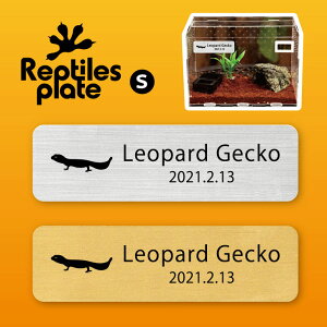 y BLACK FRIDAY P5{ z v^CY v[g STCY y Ip[hQbR[ zP[W  v^C{bNX p  D l[v[g p_E eE ANAE 