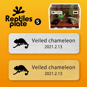 y BLACK FRIDAY P5{ z v^CY v[g STCY y G{VJI zP[W  v^C{bNX p  D l[v[g p_E eE ANAE 