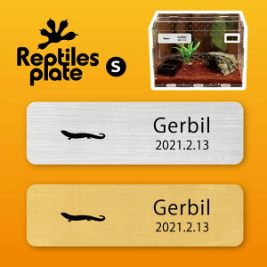 y BLACK FRIDAY P5{ z v^CY v[g STCY y Ijv[ggJQ zP[W  v^C{bNX p  D l[v[g p_E eE ANAE 