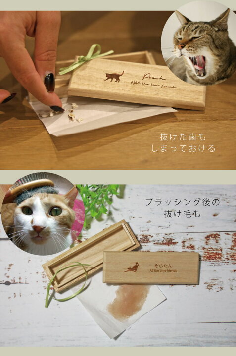 楽天市場 送料無料 うちの子 ひげケース ねこ 猫ひげbox 猫のヒゲ入れ ネコひげケース ビーグラッド 髭 かわいい 雑貨 猫 好き な 人 プレゼント ギフト オシャレ 猫 ネコ グッズ 桐箱 ケース 思い出ボックス メモリアル Mo U Ra