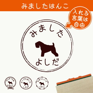 y }\ P5{ z݂܂ ͂ y ACbV\tgR[ebhEB[geA z X^v S ] ܂ 搶 v[g 킢 CXg ybg ObY ܂