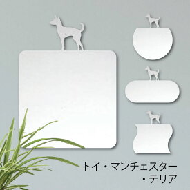 【 ギフトに 】 鏡【 トイマンチェスターテリア 】 Mサイズ ミラー かわいい ペット 犬 グッズ プレゼント オシャレ ギフト 人気 アクリル 壁掛け 軽量 頑丈 メイクアップ 化粧台用 玄関