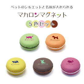 楽天市場 マグネット セット かわいいの通販