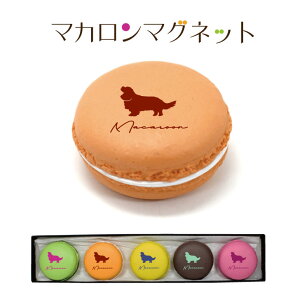 犬 ギフト セットの人気商品 通販 価格比較 価格 Com 犬 ギフト セットの人気商品 通販 価格比較 価格 Com