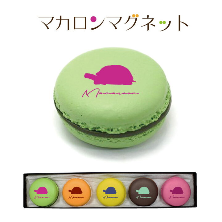楽天市場 Gwクーポン配布中 マカロンマグネット ギリシャリクガメ 5個セット かわいい ペット マカロン型 マグネット お返し プレゼント ギフト グッズ ご褒美 名入れ オーダーメイド うちの子 カメ Mo U Ra