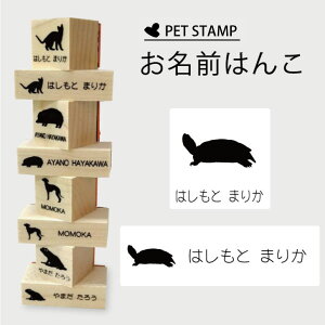 y BLACK FRIDAY P5{ z O͂ y ~hK z4_Zbg OX^v  zp q ͂ w  O Ic Vv ybg X^v CXg y 킢 