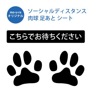 y X[p[SALEԒ P10{ z   V[g y ł҂ z\[VfBX^X   Ri΍ 3M Xܗp ybgVbv p V[