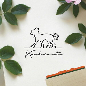 X^v y `Cj[YNXebhhbO z S O TC ͂ q I[_[Ch obgW[i OX^v Vv ybg 킢 IV 