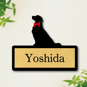 y X[p[Z[ P5{ z \Dy S[fg[o[  z M l[v[g ybg  ObY }V Ap[g ˌ Mtg z{bNX |Xg