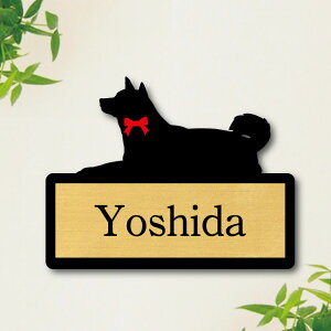 y X[p[Z[ P5{ z \Dy Č ӂ zS l[v[g ybg  ObY }V Ap[g ˌ Mtg z{bNX |Xg