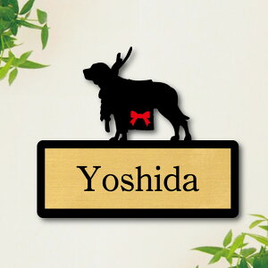 y X[p[Z[ P5{ z \Dy y zS l[v[g ybg  ObY }V Ap[g ˌ Mtg z{bNX |Xg