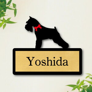 y X[p[Z[ P5{ z \Dy ~j`AViEU[ zS l[v[g ybg  ObY }V Ap[g ˌ Mtg z{bNX |Xg