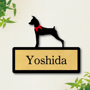 y X[p[Z[ P5{ z \Dy ~j`AsV[ zS l[v[g ybg  ObY }V Ap[g ˌ Mtg z{bNX |Xg