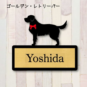 y X[p[Z[ P5{ z \DyS[fg[o[z S l[v[g ybg  ObY }V Ap[g ˌ Mtg z{bNX |Xg