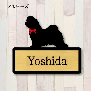 y X[p[Z[ P5{ z \Dy}`[Yz S l[v[g ybg  ObY }V Ap[g ˌ Mtg z{bNX |Xg