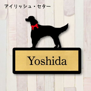 y X[p[Z[ P5{ z \DyACbVZ^[z S l[v[g ybg  ObY }V Ap[g ˌ Mtg z{bNX |Xg