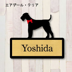 y X[p[Z[ P5{ z \DyGAf[eAz S l[v[g ybg  ObY }V Ap[g ˌ Mtg z{bNX |Xg
