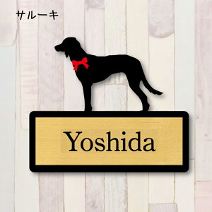 y X[p[Z[ P5{ z \DyT[Lz M l[v[g ybg  ObY }V Ap[g ˌ Mtg z{bNX |Xg