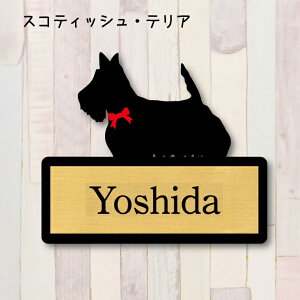 y X[p[Z[ P5{ z \DyXReBbVeAz M l[v[g ybg  ObY }V Ap[g ˌ Mtg z{bNX |Xg