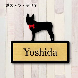 y X[p[Z[ P5{ z \Dy{XgeAz S l[v[g ybg  ObY }V Ap[g ˌ Mtg z{bNX |Xg