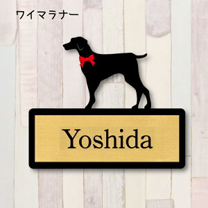 y X[p[Z[ P5{ z \DyC}i[z S l[v[g ybg  ObY }V Ap[g ˌ Mtg z{bNX |Xg
