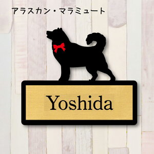 y X[p[Z[ P5{ z \DyAXJ}~[gz S l[v[g ybg  ObY }V Ap[g ˌ Mtg z{bNX |Xg