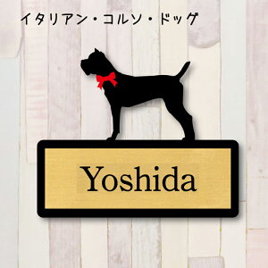 y X[p[Z[ P5{ z \DyC^AR\hbOz S l[v[g ybg  ObY }V Ap[g ˌ Mtg z{bNX |Xg