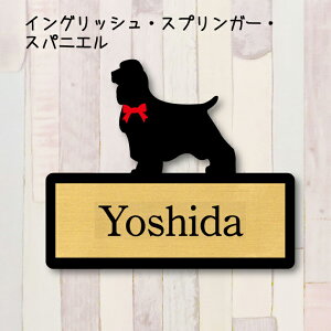 y X[p[Z[ P5{ z \DyCObVXvK[XpjGz M l[v[g ybg  ObY }V Ap[g ˌ Mtg z{bNX |Xg