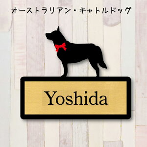 y X[p[Z[ P5{ z \DyI[XgALghbOz M l[v[g ybg  ObY }V Ap[g ˌ Mtg z{bNX |Xg