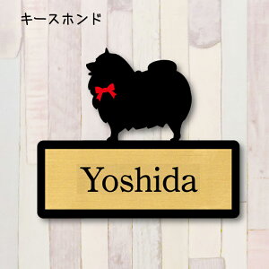 y X[p[Z[ P5{ z \DyL[Xzhz S l[v[g ybg  ObY }V Ap[g ˌ Mtg z{bNX |Xg