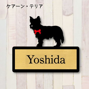 y X[p[Z[ P5{ z \DyPA[eAz M l[v[g ybg  ObY }V Ap[g ˌ Mtg z{bNX |Xg