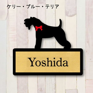 y X[p[Z[ P5{ z \DyP[u[eAz S l[v[g ybg  ObY }V Ap[g ˌ Mtg z{bNX |Xg