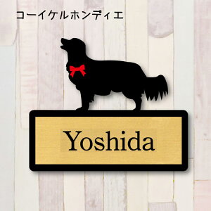 y X[p[Z[ P5{ z \DyR[CPzfBGz L l[v[g ybg  ObY }V Ap[g ˌ Mtg z{bNX |Xg