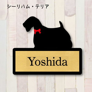 y X[p[Z[ P5{ z \DyV[neAz LL l[v[g ybg  ObY }V Ap[g ˌ Mtg z{bNX |Xg