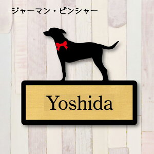 y X[p[Z[ P5{ z \DyW[}sV[z M l[v[g ybg  ObY }V Ap[g ˌ Mtg z{bNX |Xg