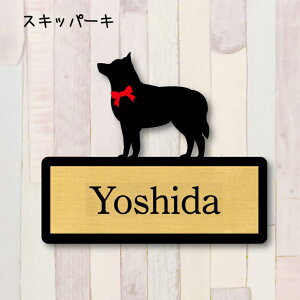 y X[p[Z[ P5{ z \DyXLbp[Lz S l[v[g ybg  ObY }V Ap[g ˌ Mtg z{bNX |Xg