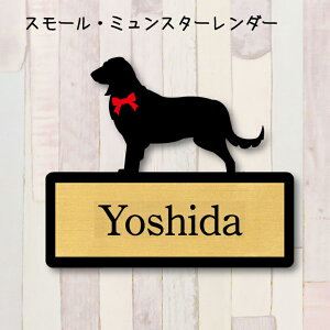 y X[p[Z[ P5{ z \DyX[~X^[_[z S l[v[g ybg  ObY }V Ap[g ˌ Mtg z{bNX |Xg