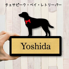 【スーパーSALE 期間中 ポイントUP！ 】 表札【チェサピークベイレトリーバー】 Mサイズ かわいい ネームプレート ペット 犬 グッズ マンション アパート 戸建て 引っ越し 取付 簡単 お祝い プレゼント 映え 映える ギフト 彫刻 安い オシャレ 宅配ボックス ポスト 新築