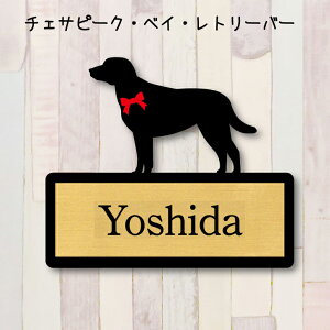 y X[p[Z[ P5{ z \Dy`FTs[NxCg[o[z S l[v[g ybg  ObY }V Ap[g ˌ Mtg z{bNX |Xg