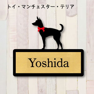 y X[p[Z[ P5{ z \DygC}`FX^[eAz S l[v[g ybg  ObY }V Ap[g ˌ Mtg z{bNX |Xg
