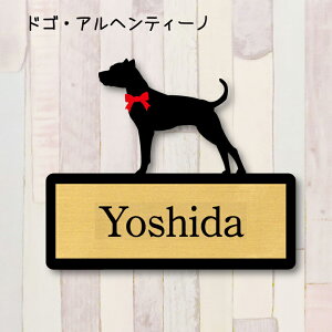 y X[p[Z[ P5{ z \DyhSAweB[mz S l[v[g ybg  ObY }V Ap[g ˌ Mtg z{bNX |Xg