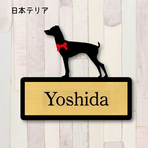y X[p[Z[ P5{ z \Dy{eAz M l[v[g ybg  ObY }V Ap[g ˌ Mtg z{bNX |Xg
